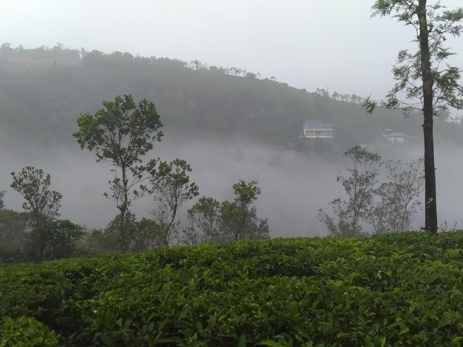 Tharayil Farm Stay Vagamon Eksteriør bilde