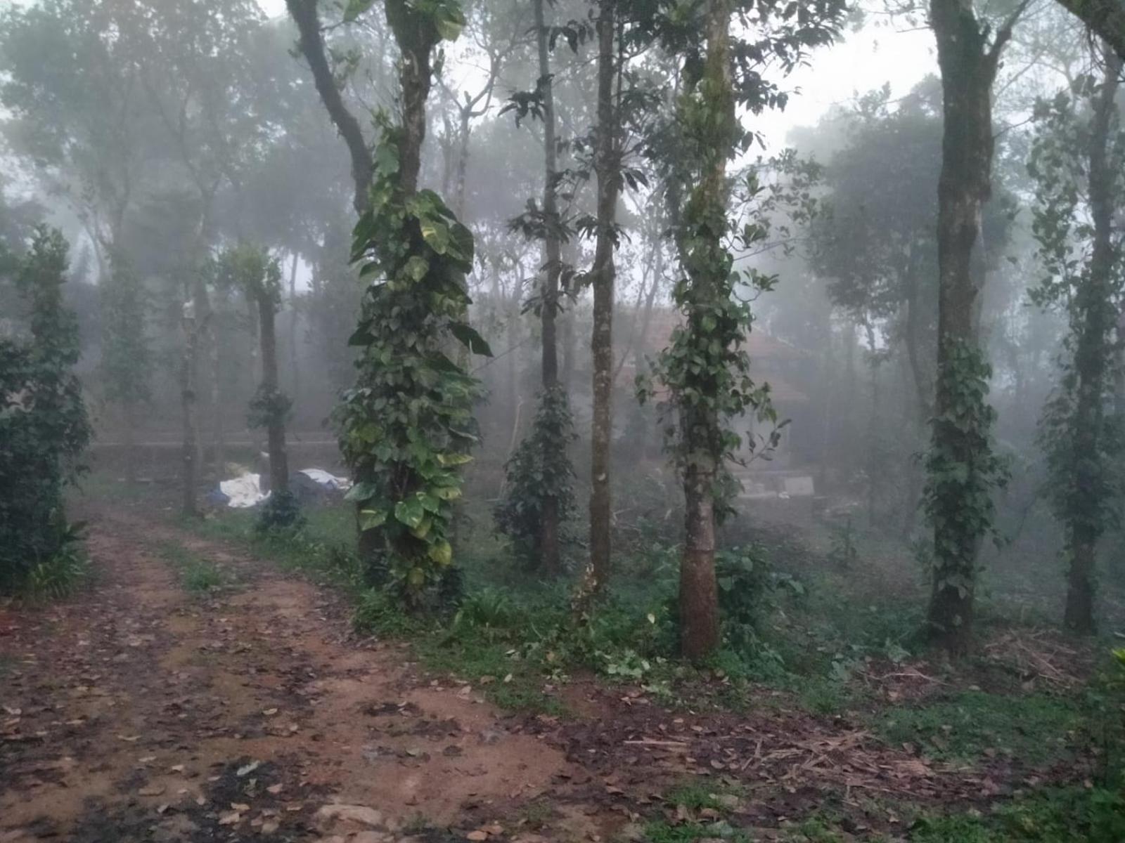 Tharayil Farm Stay Vagamon Eksteriør bilde