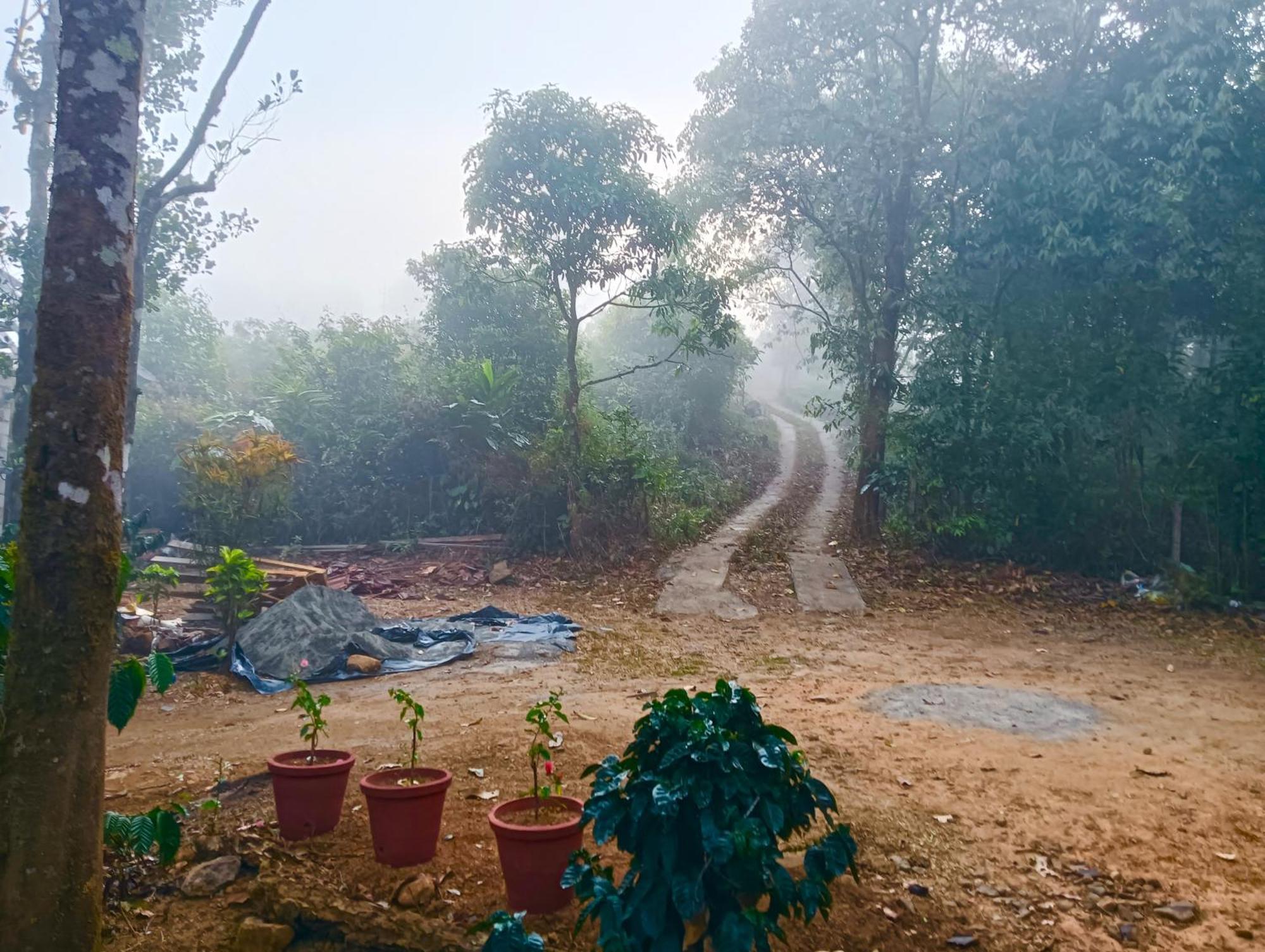 Tharayil Farm Stay Vagamon Eksteriør bilde
